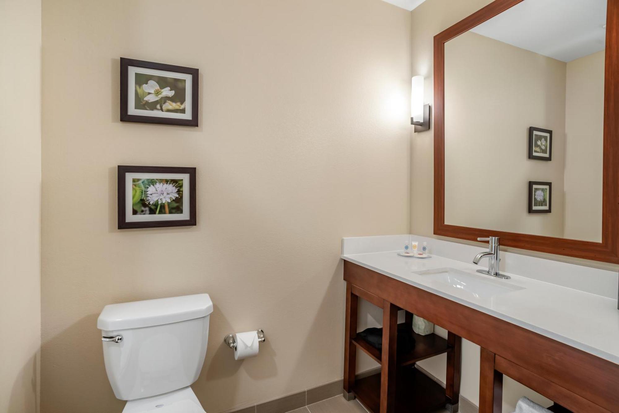 Comfort Inn & Suites Winchester Habitación foto