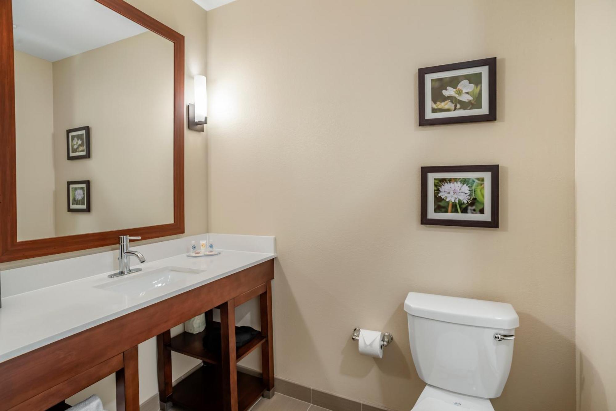 Comfort Inn & Suites Winchester Habitación foto